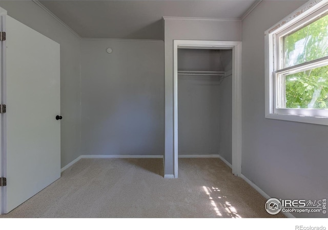 29 Marshall Pl, Longmont, CO 80504 - unfurnished bedroom with carpet flooring, crown molding, a closet, and baseboards