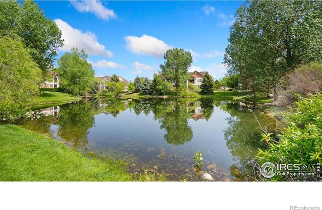 4655 Hahns Peak Dr Unit 101, Loveland, CO 80538