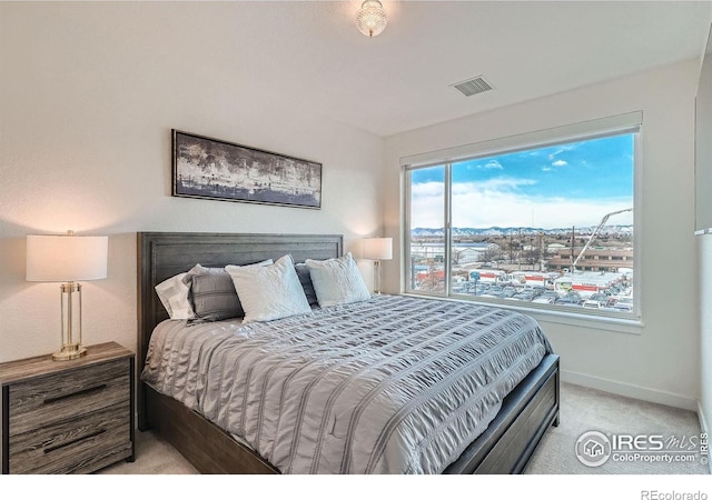 1616 S Broadway Unit 304, Denver, CO 80210 - bedroom with light carpet and baseboards