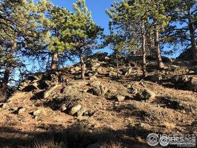 380 Parkview Ln, Estes Park, CO 80517 - photo 3