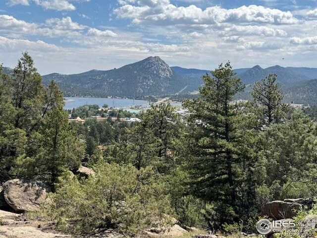 380 Parkview Ln, Estes Park, CO 80517 - photo 4