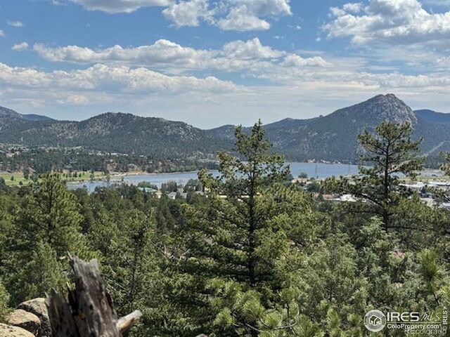 380 Parkview Ln, Estes Park, CO 80517 - photo 5