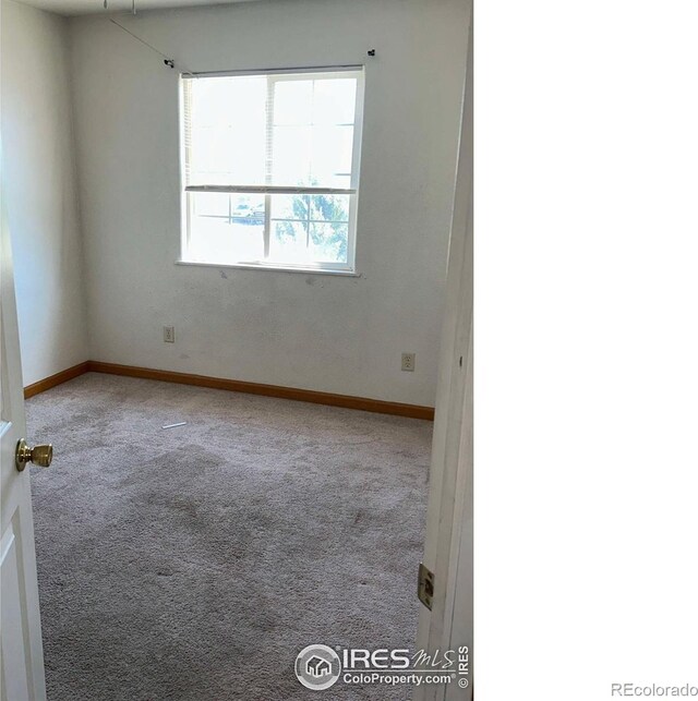 309 Ash Ct, Evans, CO 80620 - spare room featuring carpet and baseboards