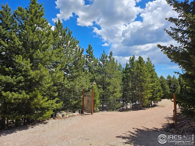 113 Shoshoni Dr, Red Feather Lakes, CO 80545