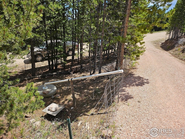 113 Shoshoni Dr, Red Feather Lakes, CO 80545