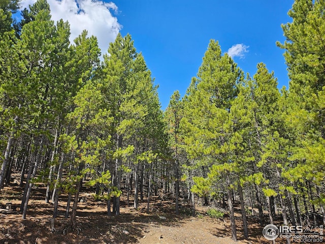 113 Shoshoni Dr, Red Feather Lakes, CO 80545