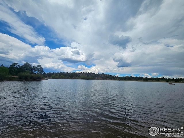 113 Shoshoni Dr, Red Feather Lakes, CO 80545