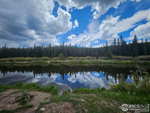 113 Shoshoni Dr, Red Feather Lakes, CO 80545