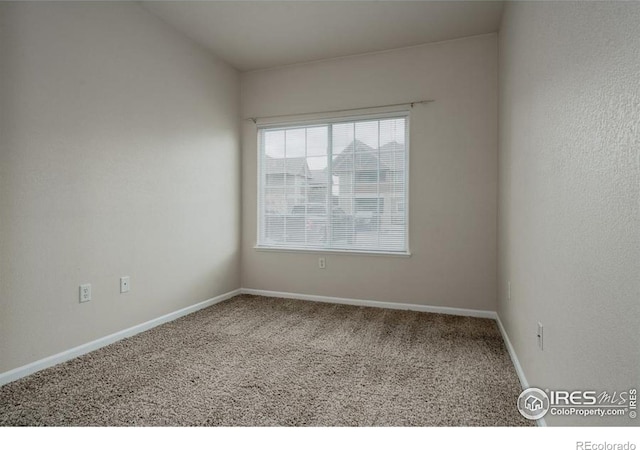 104 Beacon Way Unit C, Windsor, CO 80550 - photo 10