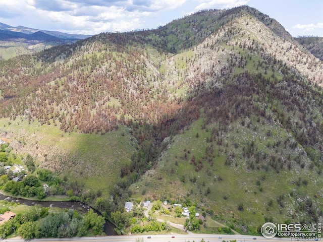 1031 W US Highway 34, Loveland, CO 80537 - view of mountain backdrop with a forest