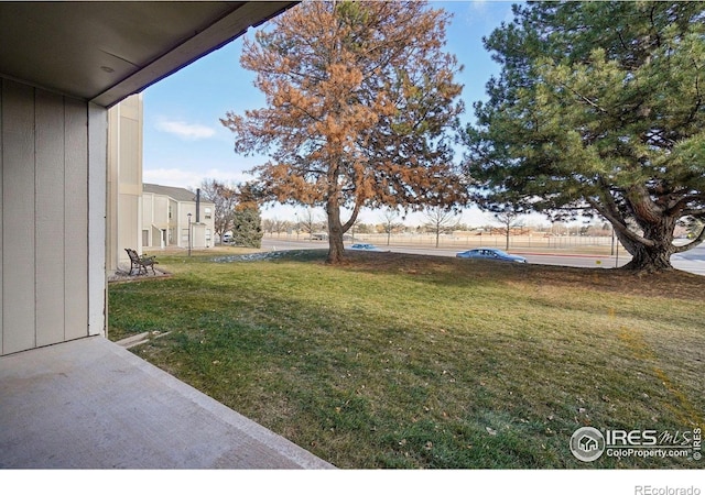 3431 Stover St Unit E-513, Fort Collins, CO 80525 - view of grassy yard