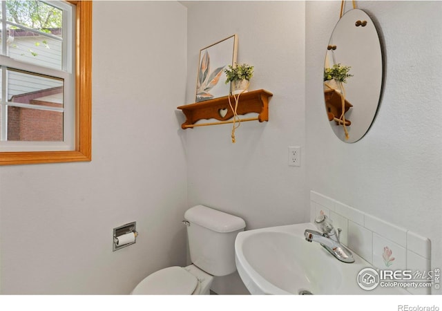205 E Colorado Ave, Berthoud, CO 80513