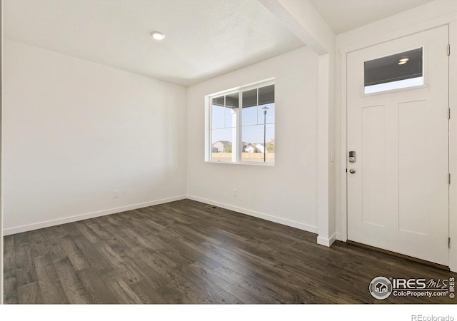 6300 Globeflower St, Wellington, CO 80549 - entrance foyer with dark wood-style floors and baseboards