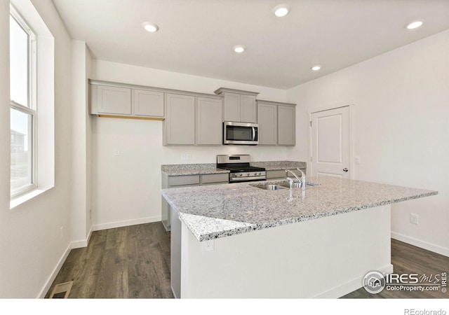 6300 Globeflower St, Wellington, CO 80549 - kitchen with appliances with stainless steel finishes, gray cabinets, a sink, a center island with sink, and dark wood-style flooring