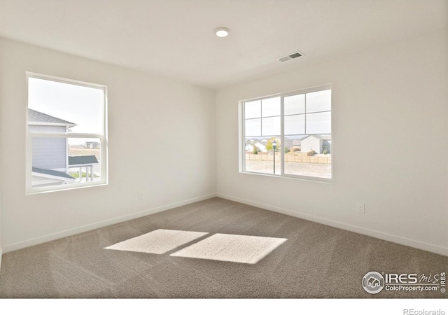 6300 Globeflower St, Wellington, CO 80549 - spare room with carpet and baseboards