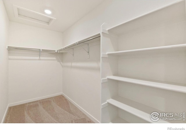 6300 Globeflower St, Wellington, CO 80549 - spacious closet featuring attic access and carpet