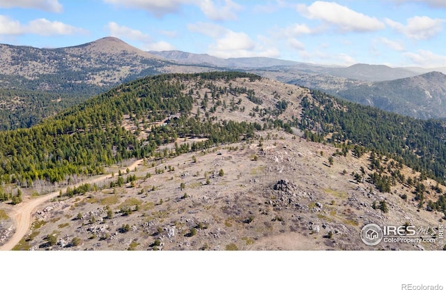 5260 Ridge Rd, Nederland, CO 80466 - photo 2