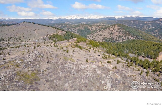 5260 Ridge Rd, Nederland, CO 80466 - photo 5