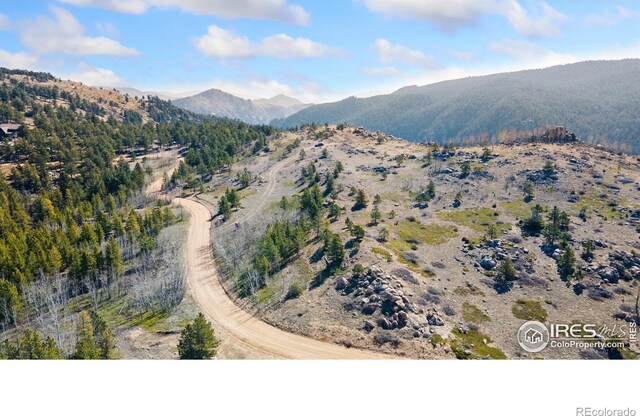 5260 Ridge Rd, Nederland, CO 80466 - photo 8