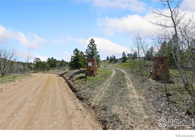 5260 Ridge Rd, Nederland, CO 80466 - photo 9