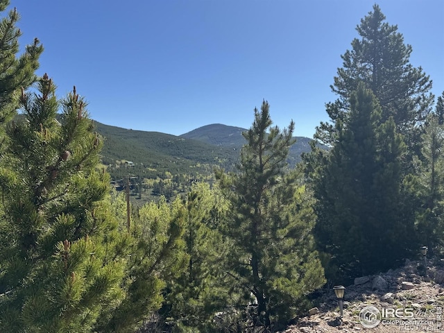 3181 Ottawa Way, Red Feather Lakes, CO 80545