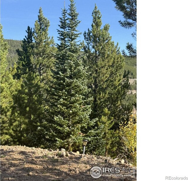 3181 Ottawa Way, Red Feather Lakes, CO 80545