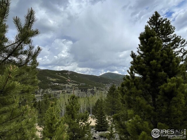3181 Ottawa Way, Red Feather Lakes, CO 80545
