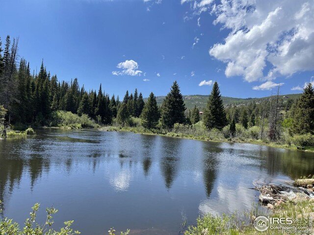 3181 Ottawa Way, Red Feather Lakes, CO 80545