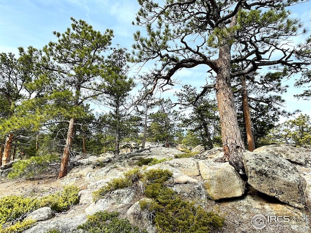 3181 Ottawa Way, Red Feather Lakes, CO 80545