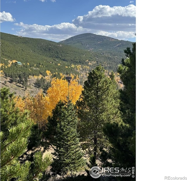 3181 Ottawa Way, Red Feather Lakes, CO 80545