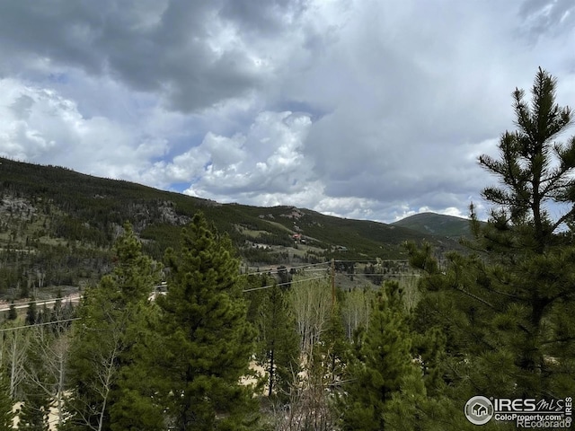 3181 Ottawa Way, Red Feather Lakes, CO 80545