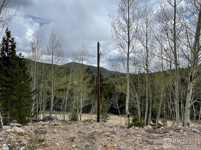 3181 Ottawa Way, Red Feather Lakes, CO 80545
