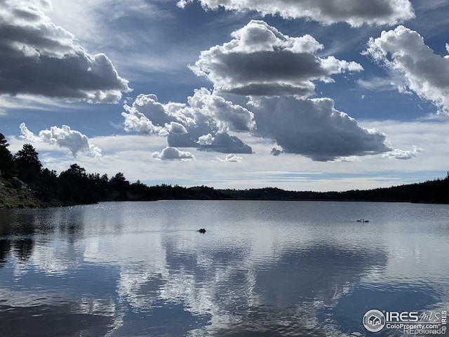 3181 Ottawa Way, Red Feather Lakes, CO 80545