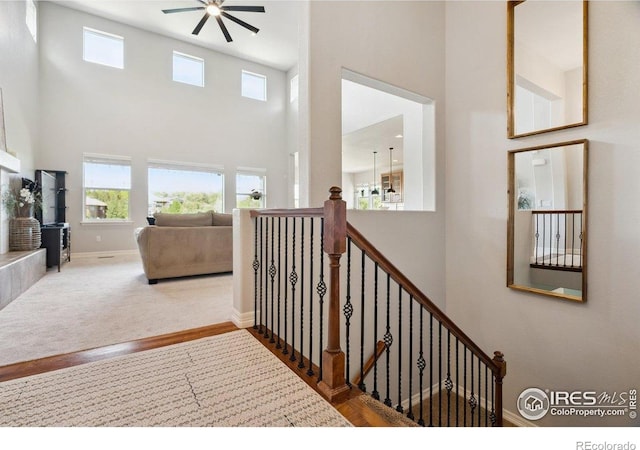 24725 E Dry Creek Pl, Aurora, CO 80016 - photo 9