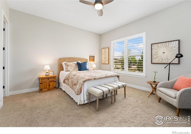 2608 Hawks Perch Ct, Fort Collins, CO 80528 - photo 26