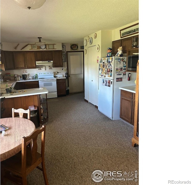 31888 County Road U, Brush, CO 80723 - kitchen with white appliances, under cabinet range hood, light countertops, a textured ceiling, and dark carpet