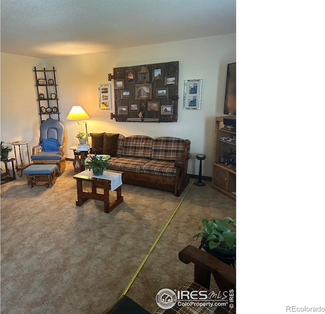 31888 County Road U, Brush, CO 80723 - living area featuring carpet flooring