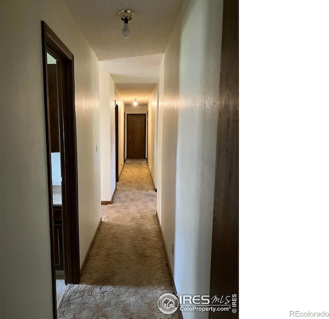 31888 County Road U, Brush, CO 80723 - photo 13