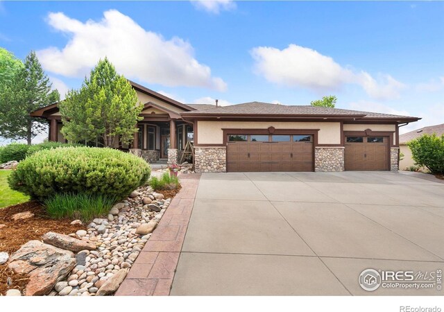 1426 Bison Run Dr, Windsor, CO 80550 - photo 2