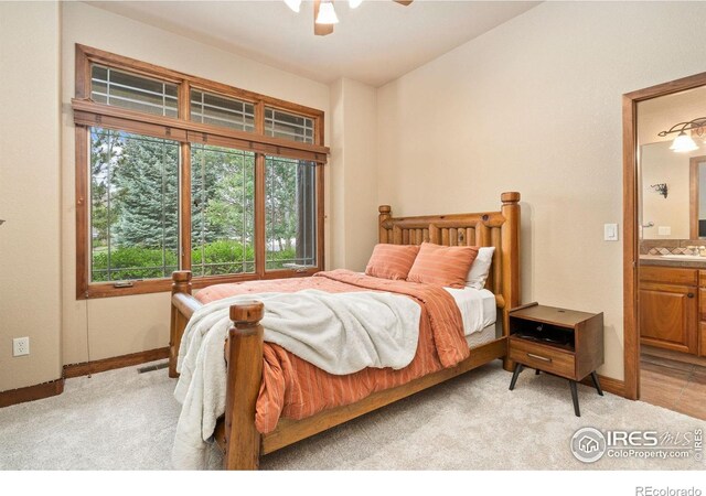 1426 Bison Run Dr, Windsor, CO 80550 - photo 21