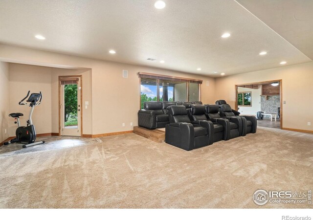 1426 Bison Run Dr, Windsor, CO 80550 - photo 27