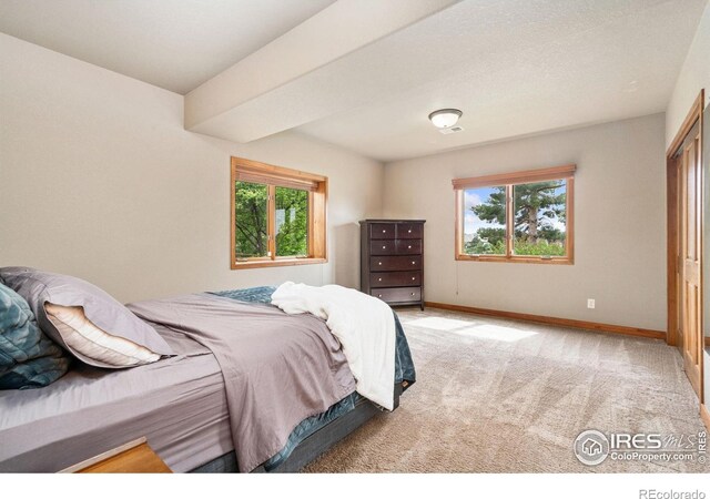 1426 Bison Run Dr, Windsor, CO 80550 - photo 34