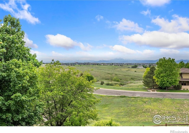 1426 Bison Run Dr, Windsor, CO 80550 - photo 4