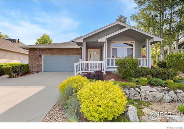 742 Megan Ct, Longmont, CO 80504