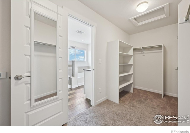 961 Mouflon Dr, Severance, CO 80550 - spacious closet featuring attic access and carpet