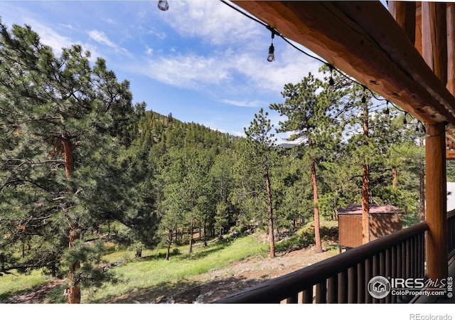 28 Ute Crossing Ct, Lyons, CO 80540 - mountain view with a forest