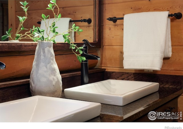 28 Ute Crossing Ct, Lyons, CO 80540 - bathroom view of a sink and wood walls