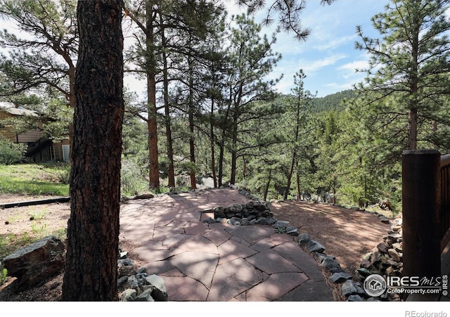 28 Ute Crossing Ct, Lyons, CO 80540 - view of patio / terrace featuring a view of trees