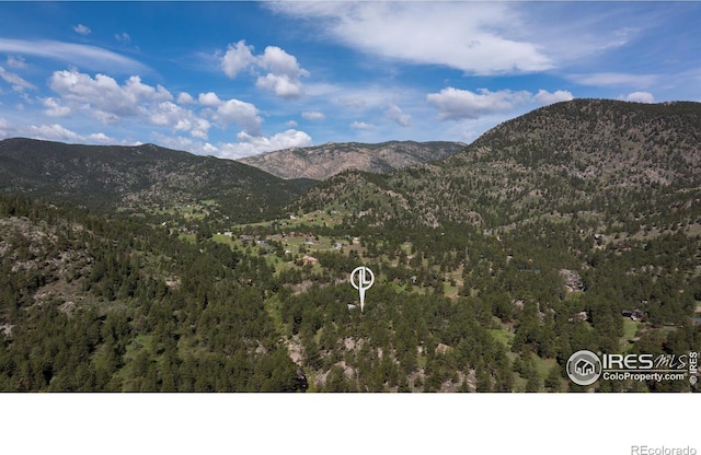 28 Ute Crossing Ct, Lyons, CO 80540 - view of mountain background featuring a heavily wooded area