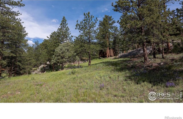 28 Ute Crossing Ct, Lyons, CO 80540 - view of yard